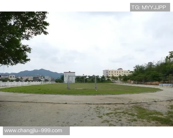 张延足球在西安的崛起与发展探索地方足球文化的未来之路